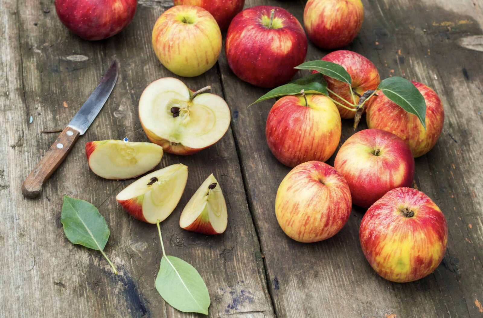 Apples - Nutrition Facts - FitnessLife Magazine Apples - Nutrition Facts